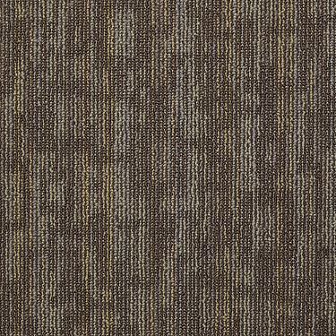 Hook Up Commercial Carpet by Philadelphia Commercial in the color Charged. Sample of browns carpet pattern and texture.