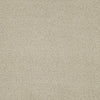 Primus Commercial Carpet by Philadelphia Commercial in the color Favored. Sample of beiges carpet pattern and texture.