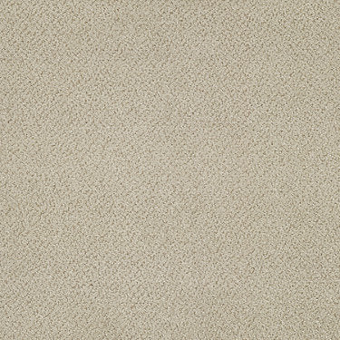 Primus Commercial Carpet by Philadelphia Commercial in the color Favored. Sample of beiges carpet pattern and texture.