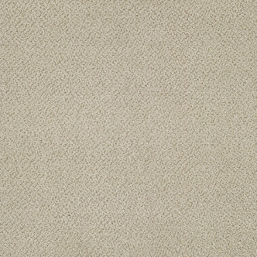 Primus Commercial Carpet by Philadelphia Commercial in the color Favored. Sample of beiges carpet pattern and texture.