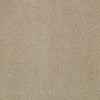 Primus Commercial Carpet by Philadelphia Commercial in the color Eminent. Sample of beiges carpet pattern and texture.