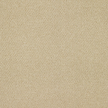 Primus Commercial Carpet by Philadelphia Commercial in the color Chief. Sample of golds carpet pattern and texture.