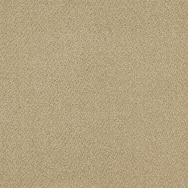 Primus Commercial Carpet by Philadelphia Commercial in the color First-Class. Sample of golds carpet pattern and texture.