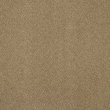 Primus Commercial Carpet by Philadelphia Commercial in the color Dominant. Sample of golds carpet pattern and texture.