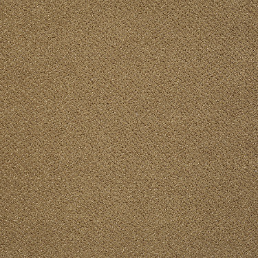 Primus Commercial Carpet by Philadelphia Commercial in the color A List. Sample of golds carpet pattern and texture.