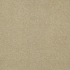 Primus Commercial Carpet by Philadelphia Commercial in the color Sovereign. Sample of golds carpet pattern and texture.