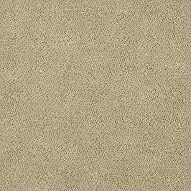 Primus Commercial Carpet by Philadelphia Commercial in the color Sovereign. Sample of golds carpet pattern and texture.