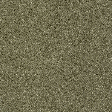 Primus Commercial Carpet by Philadelphia Commercial in the color To Begin With. Sample of greens carpet pattern and texture.