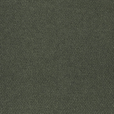 Primus Commercial Carpet by Philadelphia Commercial in the color Gem. Sample of greens carpet pattern and texture.