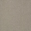 Primus Commercial Carpet by Philadelphia Commercial in the color At The Beginning. Sample of grays carpet pattern and texture.