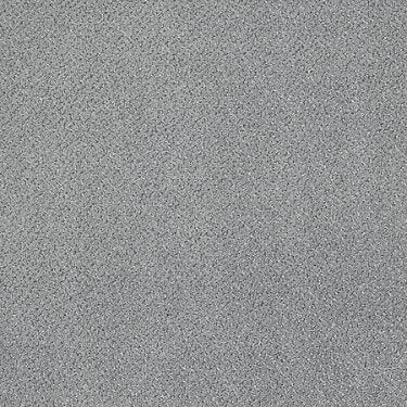 Primus Commercial Carpet by Philadelphia Commercial in the color Champion. Sample of grays carpet pattern and texture.