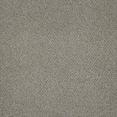 Primus Commercial Carpet by Philadelphia Commercial in the color Premier. Sample of grays carpet pattern and texture.