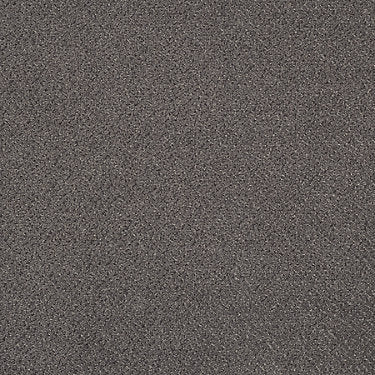 Primus Commercial Carpet by Philadelphia Commercial in the color Initial. Sample of grays carpet pattern and texture.