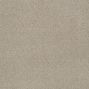 Primus Commercial Carpet by Philadelphia Commercial in the color Principal. Sample of browns carpet pattern and texture.