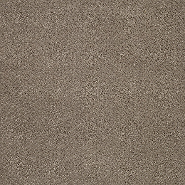 Primus Commercial Carpet by Philadelphia Commercial in the color Top Flight. Sample of browns carpet pattern and texture.