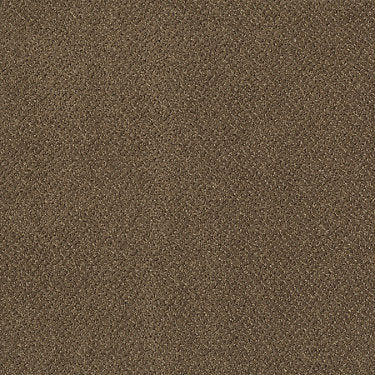 Primus Commercial Carpet by Philadelphia Commercial in the color In Front. Sample of browns carpet pattern and texture.