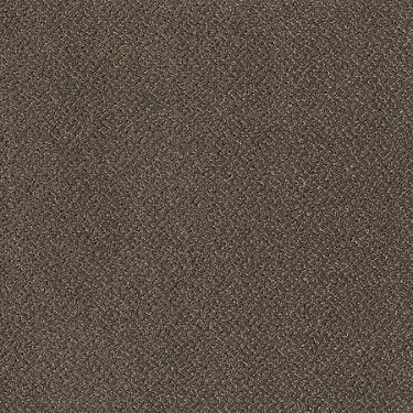 Primus Commercial Carpet by Philadelphia Commercial in the color At The Head Of. Sample of browns carpet pattern and texture.