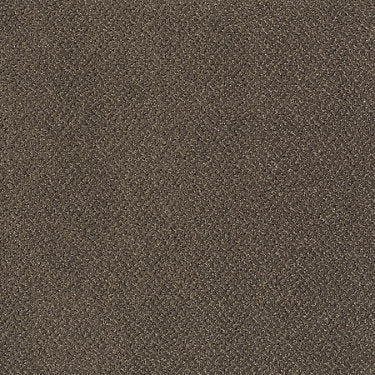 Primus Commercial Carpet by Philadelphia Commercial in the color At The Head Of. Sample of browns carpet pattern and texture.