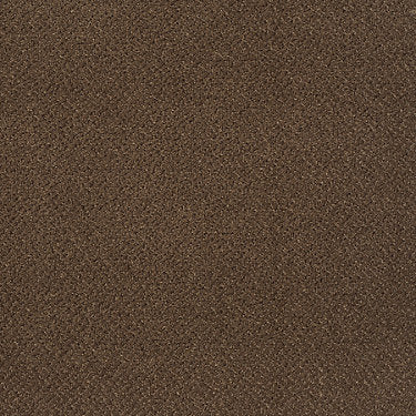 Primus Commercial Carpet by Philadelphia Commercial in the color Numero Uno. Sample of browns carpet pattern and texture.