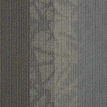 Static Commercial Carpet by Philadelphia Commercial in the color Velocity. Sample of grays carpet pattern and texture.