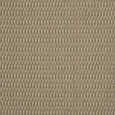 In Harmony Commercial Carpet by Philadelphia Commercial in the color Suitable. Sample of golds carpet pattern and texture.
