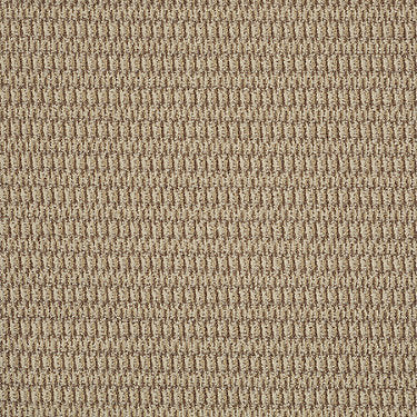 In Harmony Commercial Carpet by Philadelphia Commercial in the color Timeless. Sample of golds carpet pattern and texture.