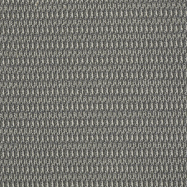 In Harmony Commercial Carpet by Philadelphia Commercial in the color Blended. Sample of grays carpet pattern and texture.
