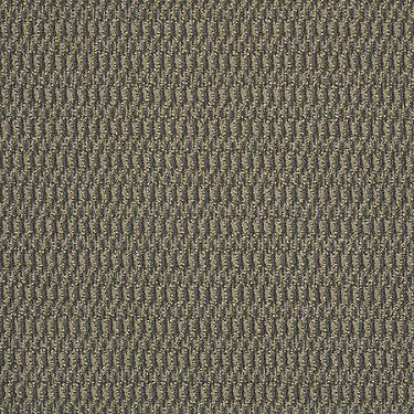 In Harmony Commercial Carpet by Philadelphia Commercial in the color Collaborate. Sample of browns carpet pattern and texture.
