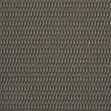 In Harmony Commercial Carpet by Philadelphia Commercial in the color Balanced. Sample of browns carpet pattern and texture.