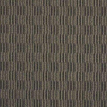 Unison Commercial Carpet by Philadelphia Commercial in the color Symmetrical. Sample of browns carpet pattern and texture.