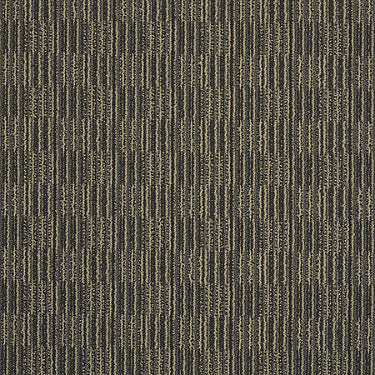 Unison Commercial Carpet by Philadelphia Commercial in the color Symmetrical. Sample of browns carpet pattern and texture.