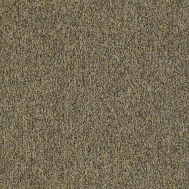 Multiplicity Residential Carpet by Philadelphia Commercial in the color Abundance. Sample of golds carpet pattern and texture.