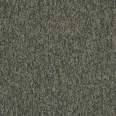 Multiplicity Residential Carpet by Philadelphia Commercial in the color Heap. Sample of greens carpet pattern and texture.