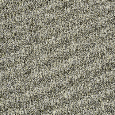 Multiplicity Residential Carpet by Philadelphia Commercial in the color Batch. Sample of grays carpet pattern and texture.