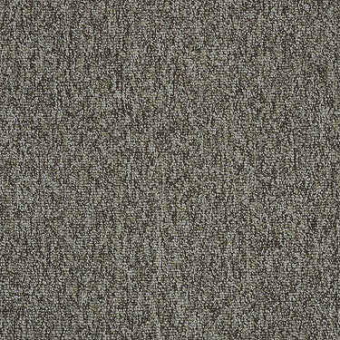 Multiplicity Residential Carpet by Philadelphia Commercial in the color Cluster. Sample of grays carpet pattern and texture.