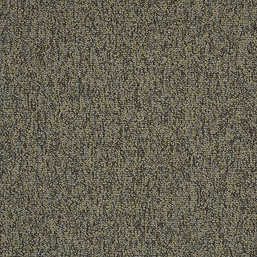 Multiplicity Residential Carpet by Philadelphia Commercial in the color Oodles. Sample of browns carpet pattern and texture.