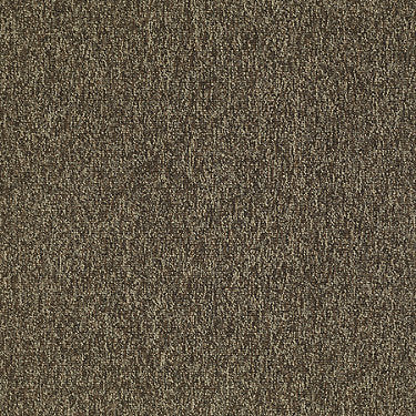 Multiplicity Residential Carpet by Philadelphia Commercial in the color Exuberance. Sample of browns carpet pattern and texture.