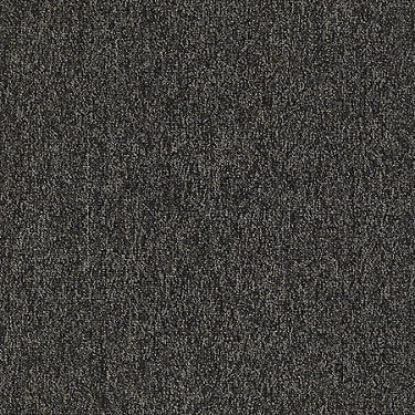 Multiplicity Residential Carpet by Philadelphia Commercial in the color Volume. Sample of browns carpet pattern and texture.