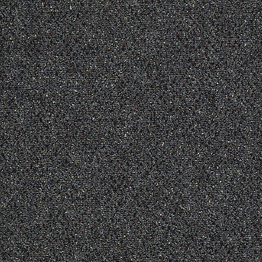 Bean Town Commercial Carpet by Philadelphia Commercial in the color Diplomate. Sample of grays carpet pattern and texture.