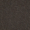 Bean Town Commercial Carpet by Philadelphia Commercial in the color Dorchester. Sample of browns carpet pattern and texture.