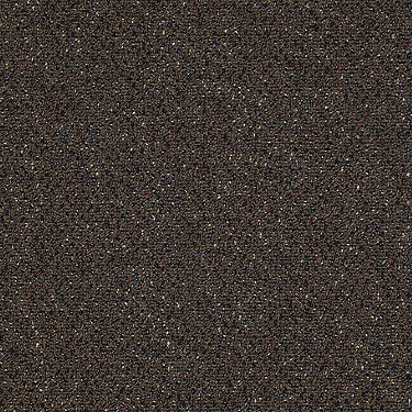 Bean Town Commercial Carpet by Philadelphia Commercial in the color Dorchester. Sample of browns carpet pattern and texture.