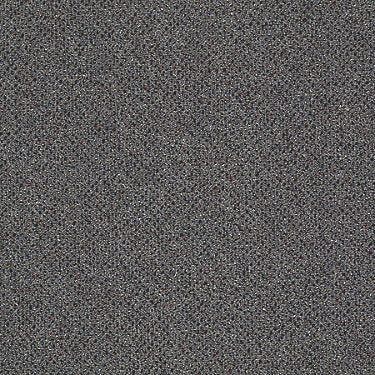 Phenomenon 20 Residential Carpet by Philadelphia Commercial in the color Prodigy. Sample of grays carpet pattern and texture.
