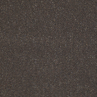 Phenomenon 20 Residential Carpet by Philadelphia Commercial in the color Aspect. Sample of browns carpet pattern and texture.