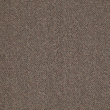 Phenomenon 26 Residential Carpet by Philadelphia Commercial in the color Actuality. Sample of golds carpet pattern and texture.