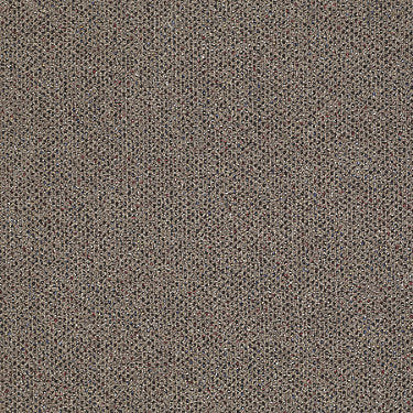 Phenomenon 26 Residential Carpet by Philadelphia Commercial in the color Paradox. Sample of golds carpet pattern and texture.