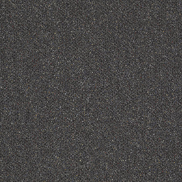 Phenomenon 26 Residential Carpet by Philadelphia Commercial in the color Marvel. Sample of grays carpet pattern and texture.