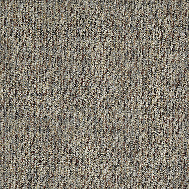 Taking Names Commercial Carpet by Philadelphia Commercial in the color Stewie. Sample of grays carpet pattern and texture.