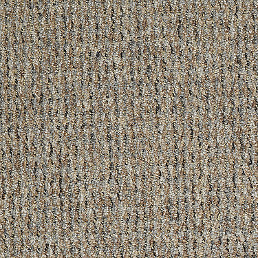 Taking Names Commercial Carpet by Philadelphia Commercial in the color Hancock. Sample of browns carpet pattern and texture.