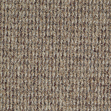 Taking Names Commercial Carpet by Philadelphia Commercial in the color Augustus. Sample of browns carpet pattern and texture.