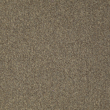 Scoreboard Ii 28 Slp Residential Carpet by Philadelphia Commercial in the color Play Off. Sample of beiges carpet pattern and texture.